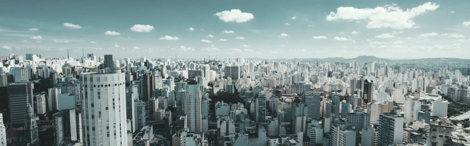 banner 2